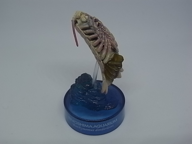 20240423_enosui_figure_1.JPG