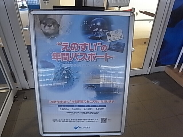 20240427_annual_passport_2.JPG